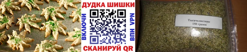 MEGA tor  Таштагол  Canna-Cookies марихуана  цены наркотик 