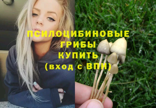 гидропоника Алексин