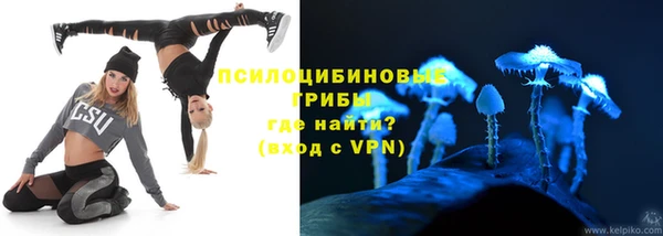 бутират Алексеевка