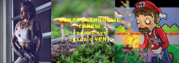 бутират Алексеевка